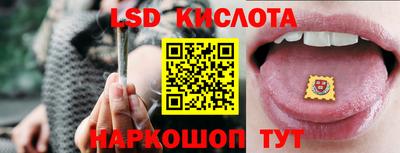 шишки Будённовск