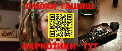 шишки Будённовск