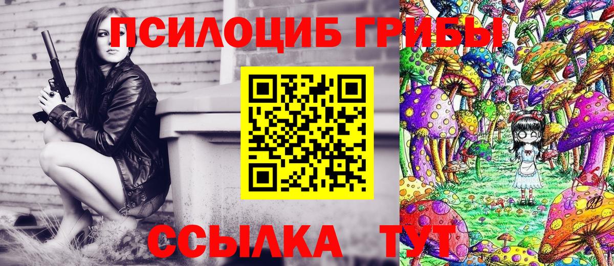 Псилоцибиновые грибы Psilocybine cubensis Тюмень