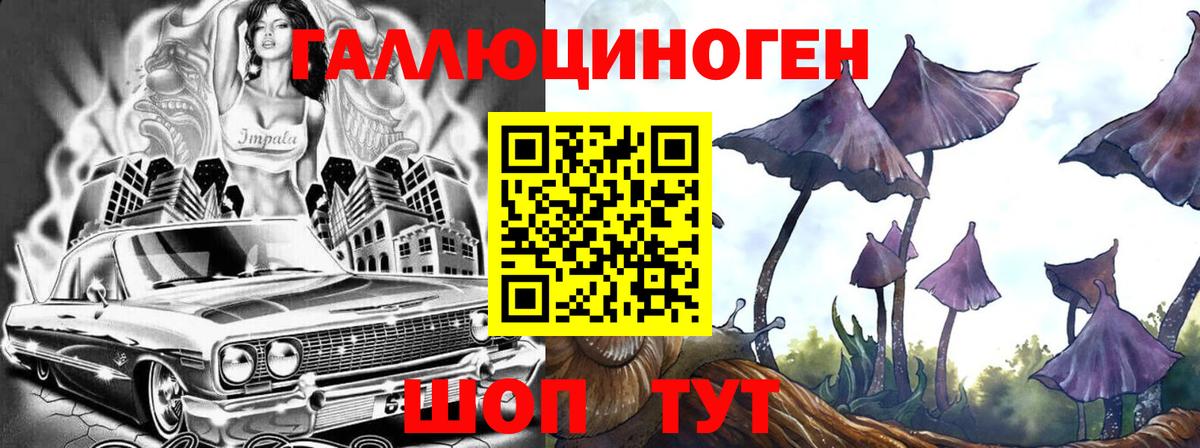 Тюмень  Псилоцибиновые грибы GOLDEN TEACHER  Псилоцибиновые грибы MAGIC MUSHROOMS  Вход с VPN 